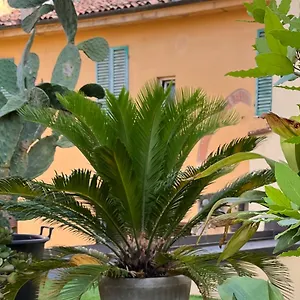 Il Terrazzo Di San Colombano Bologna